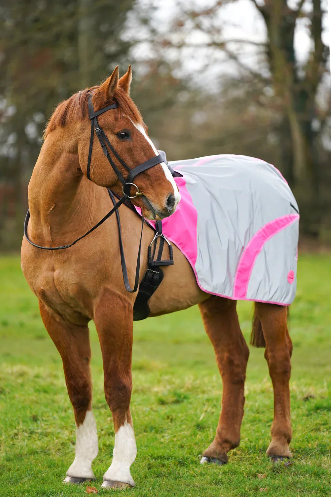 PINK HI VIZ REFLECTED WATERPROOF EXERCISE SHEET RUG Equifetch